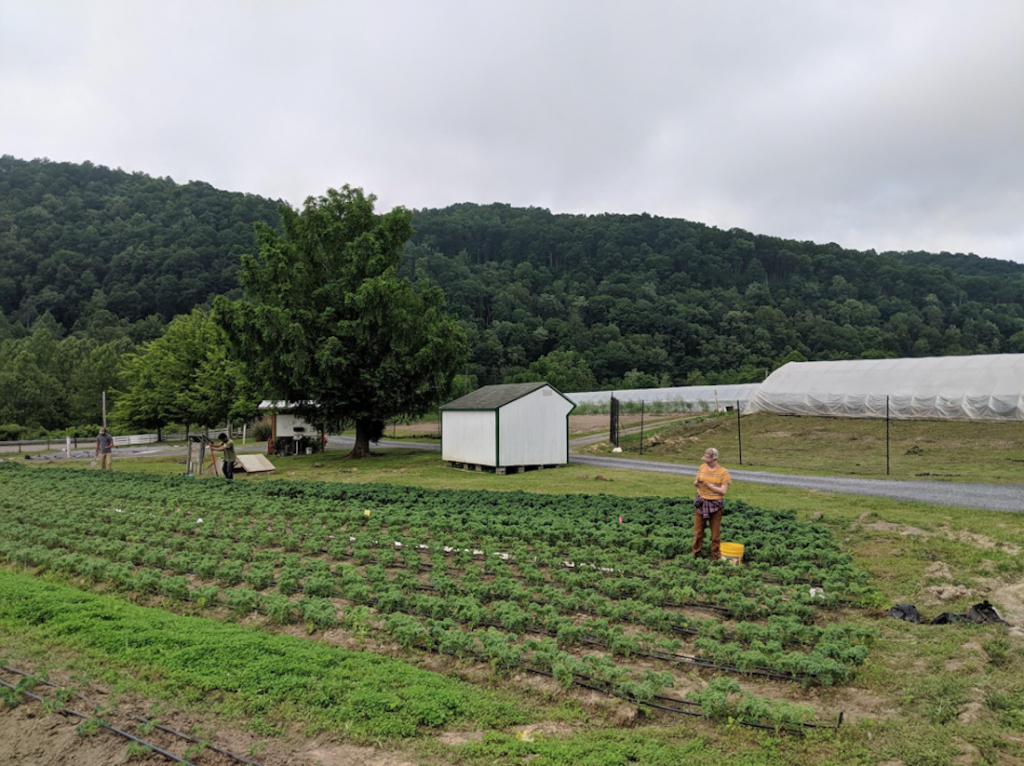 Appalachian Foodways 2