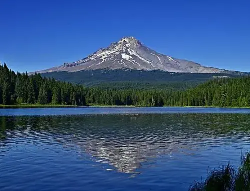 In Search of Lost Process; or, How I Wrote My First Book