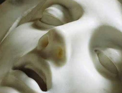 No Punches Pulled; No Kinks Shamed